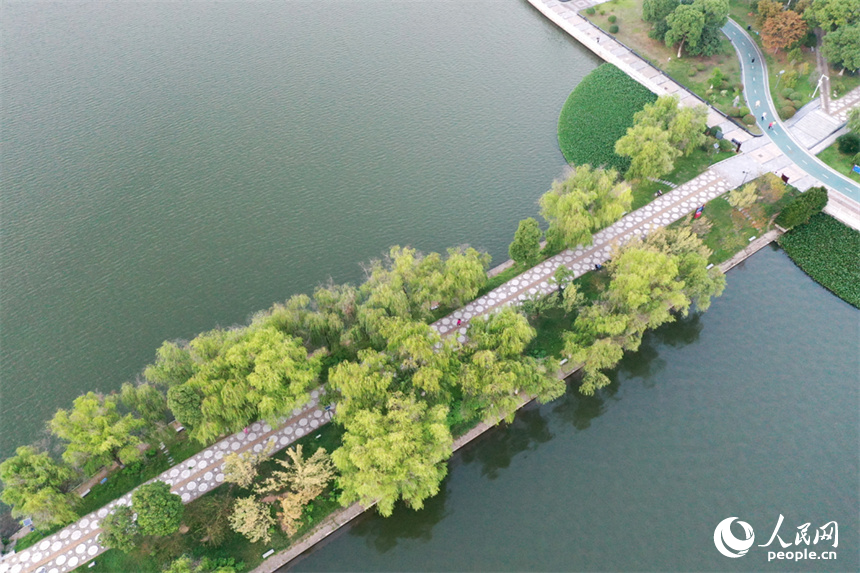 南昌市象湖城市濕地公園發揮了城市“綠肺、綠腎”功能，讓人們享受城市裡的親水空間。 人民網記者 時雨攝