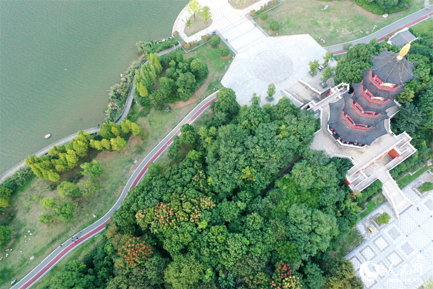 南昌市象湖城市濕地公園發揮了城市“綠肺、綠腎”功能，讓人們享受城市裡的親水空間。 人民網記者 時雨攝