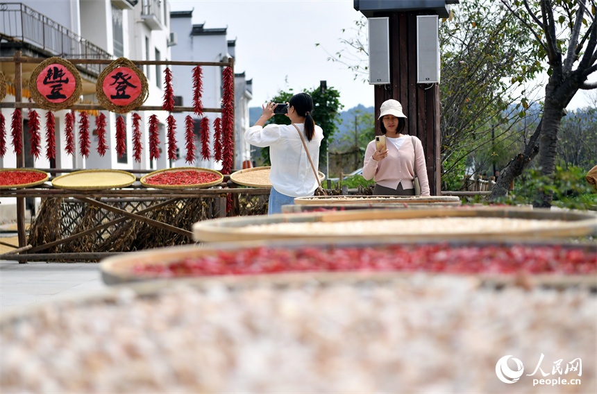 游客们在婺源县秋口镇王村石门自然村观赏晒秋美景。 人民网记者 时雨摄