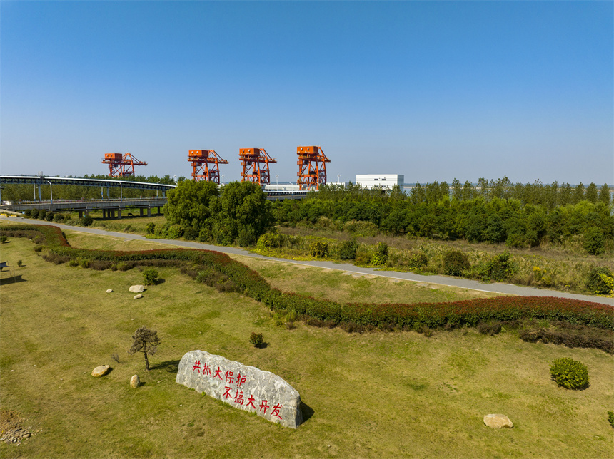 長江干堤湖口段綠意蔥蘢、風景如畫。李學華攝