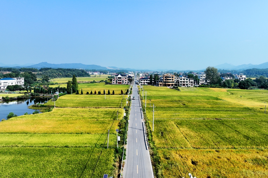 航拍镜头下的共青城市泽泉乡，目之所及皆是美景。潘成摄