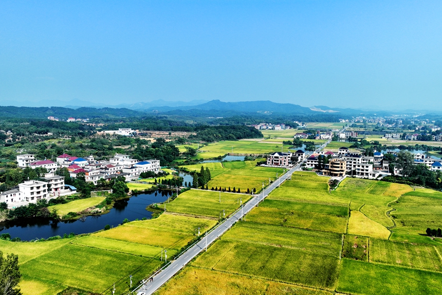 航拍镜头下的共青城市泽泉乡，目之所及皆是美景。潘成摄