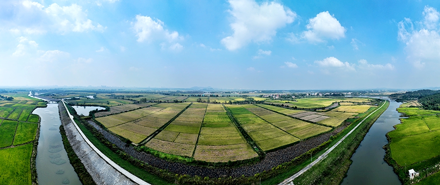 航拍镜头下的共青城市泽泉乡，目之所及皆是美景。潘成摄