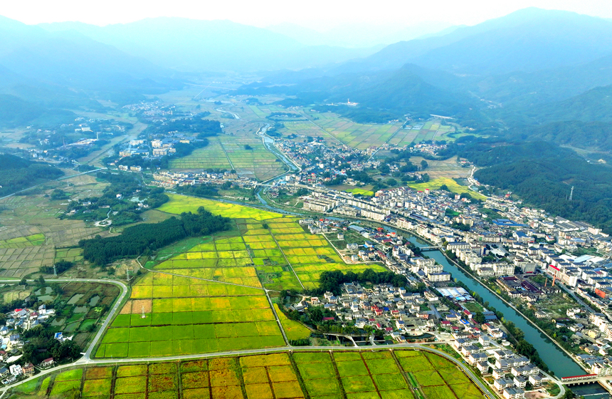 航拍宜豐縣耶溪河，河水與兩岸金黃稻田、民居、群山相映成景。何賤來攝