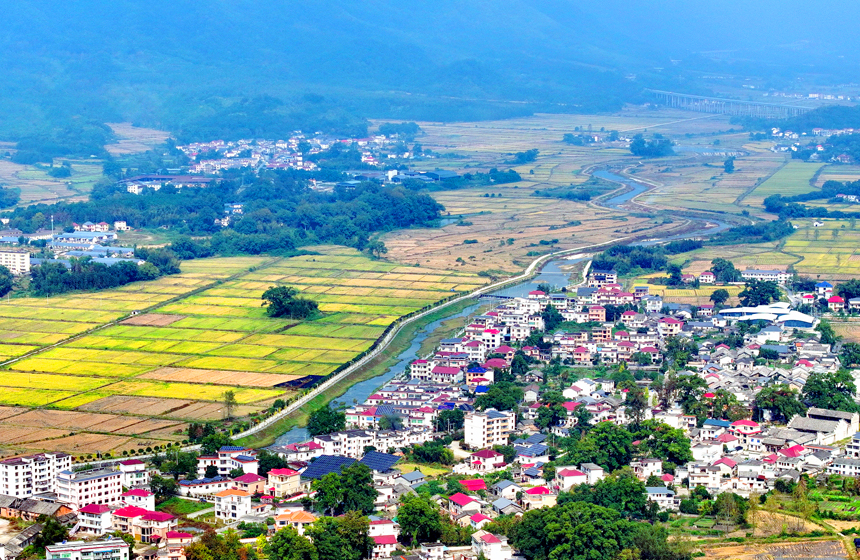 航拍宜豐縣耶溪河，河水與兩岸金黃稻田、民居、群山相映成景。何賤來攝