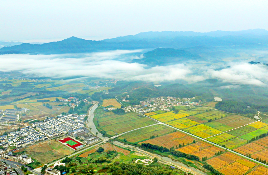 航拍宜豐縣耶溪河，河水與兩岸金黃稻田、民居、群山相映成景。何賤來攝