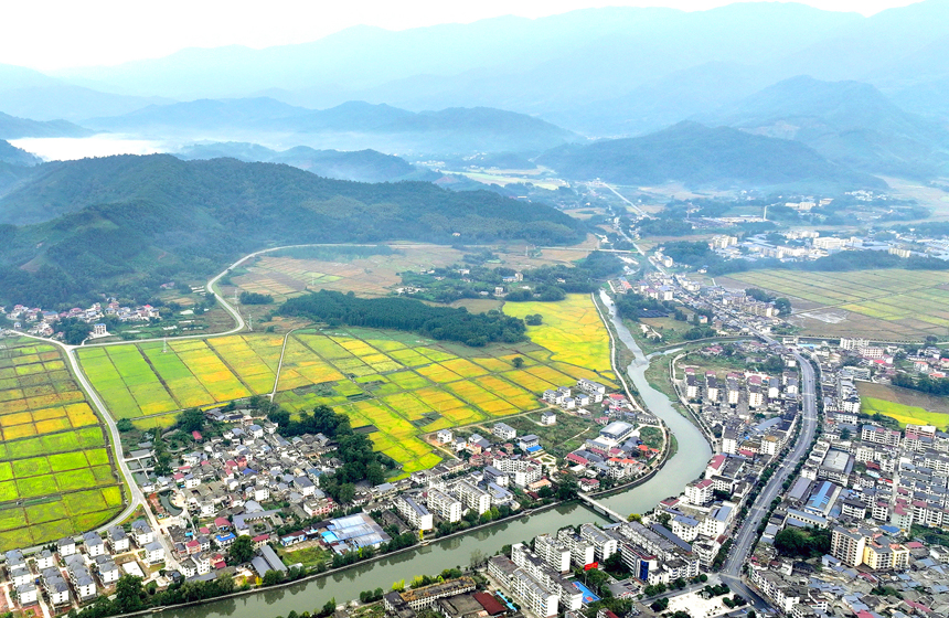 航拍宜豐縣耶溪河，河水與兩岸金黃稻田、民居、群山相映成景。何賤來攝