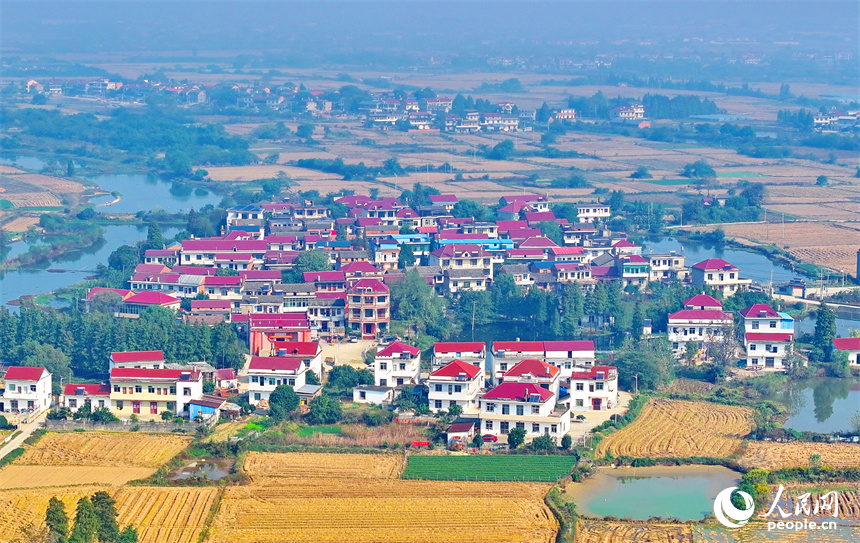 近日，江西省南昌市南昌县冈上镇安仁村，沪昆高速公路穿境而过，沿线鳞次栉比的农房与稻田、水系、绿树相映衬，构成一幅深秋时节和美乡村画卷。人民网 朱海鹏摄