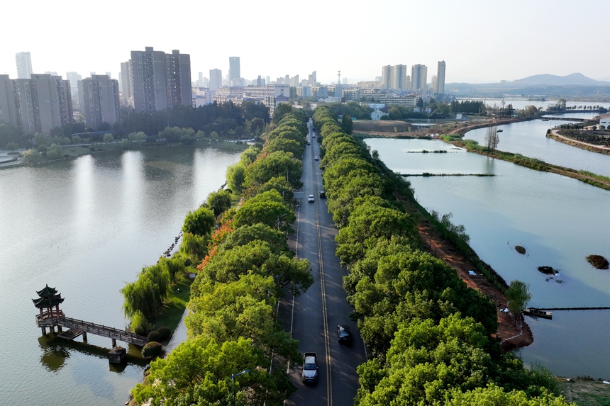 航拍下的共青城市，处处生机盎然。潘成摄