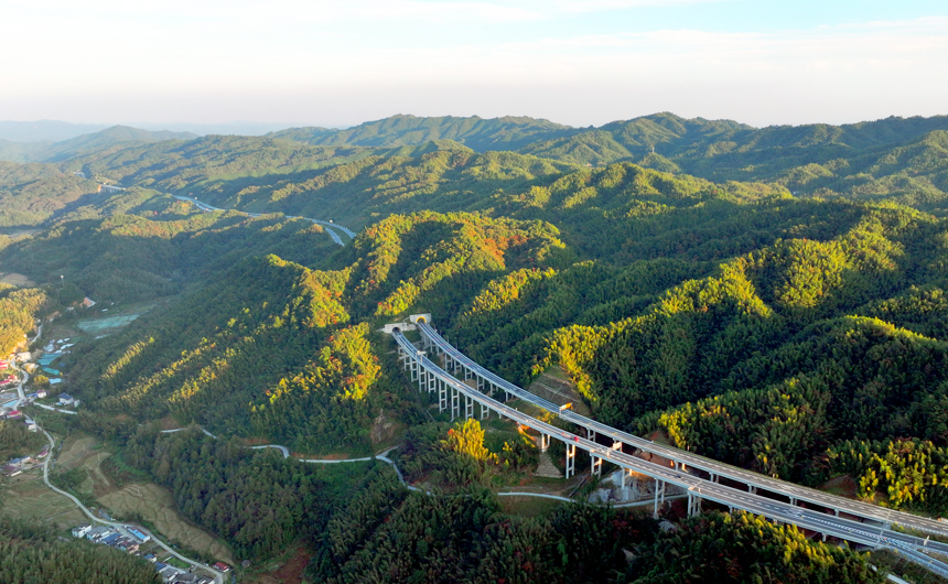 高速公路穿越秋阳映衬的茫茫竹海，构成一幅人文生态画卷。何贱来摄