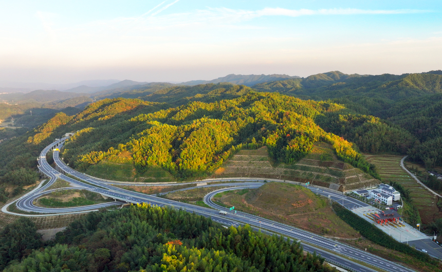 高速公路穿越秋陽映襯的茫茫竹海，構成一幅人文生態畫卷。何賤來攝