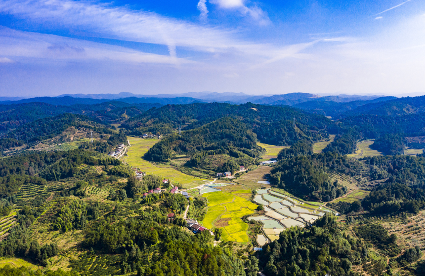 錯落有致的民居與稻田、魚塘、青山相互映襯，構成一幅冬日鄉村生態畫卷。謝東攝