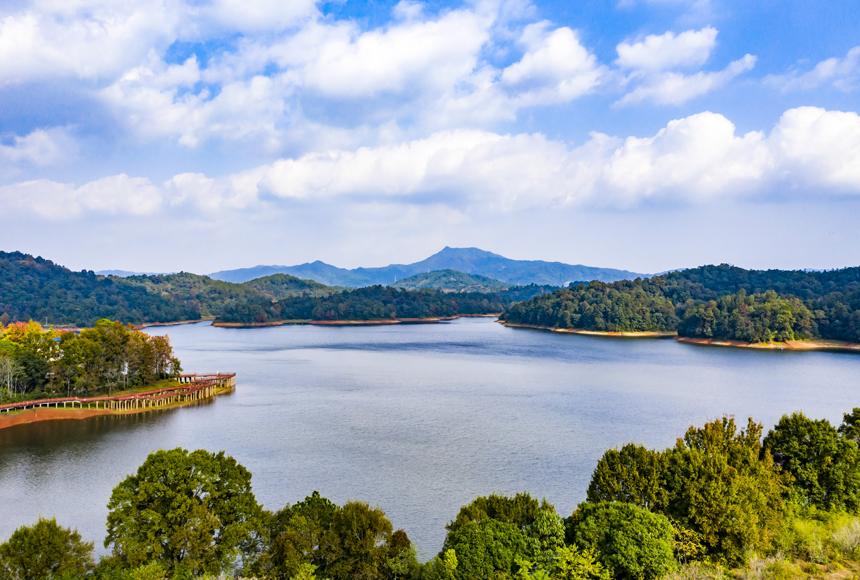 航拍江西省抚州市南丰县太源乡潭湖湿地公园，草木葱郁，美景如画。谢东摄