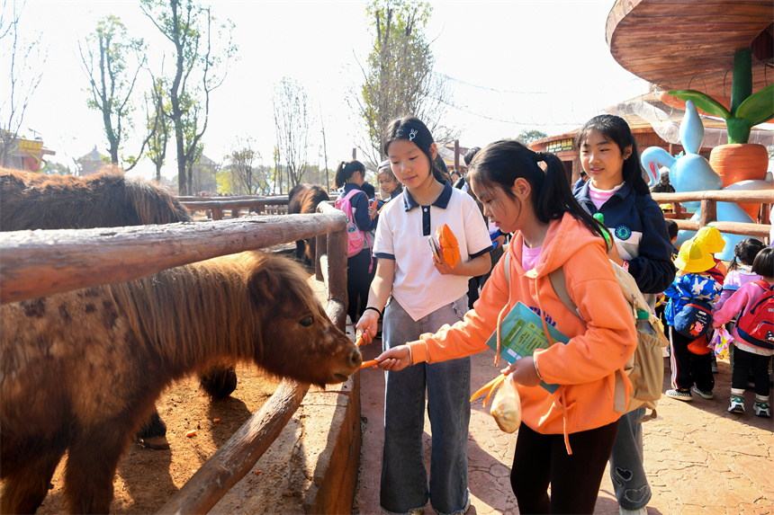 中小学生近距离认识、了解各种动物。周亮摄