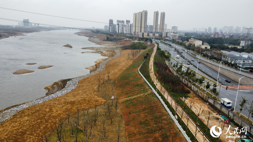 南昌市贛江東岸岸線生態綜合治理工程現場。 人民網記者 時雨攝