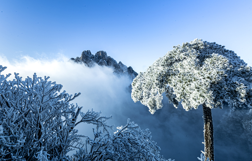 受寒潮影响，江西三清山迎来降雪。 张和忠摄