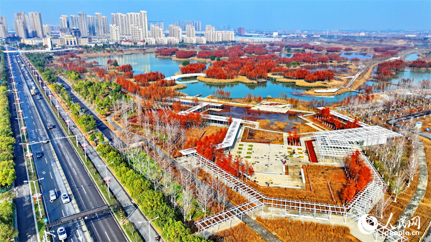 南昌市魚尾洲濕地公園水杉林立、色彩斑斕，冬日美景吸引許多游客前來游玩休憩。人民網 朱海鵬攝