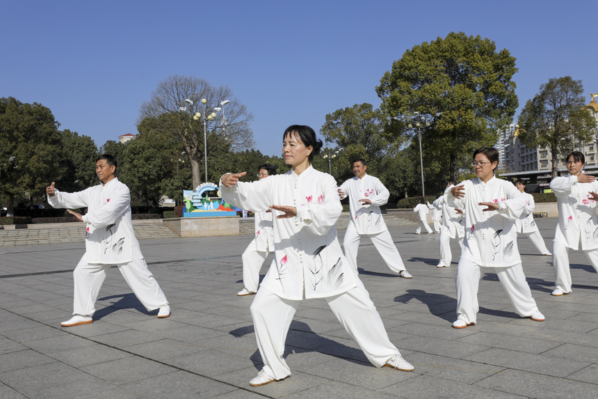 太极爱好者正在展示太极拳。谢东摄