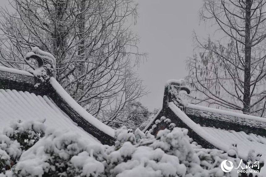 大雪飄落南昌，城市銀裝素裹。 人民網記者 時雨攝