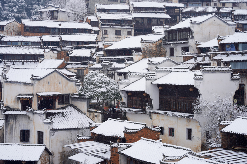 1月22日，江西省上饶市婺源县江湾镇篁岭村迎来2024年第一场雪。程虹摄