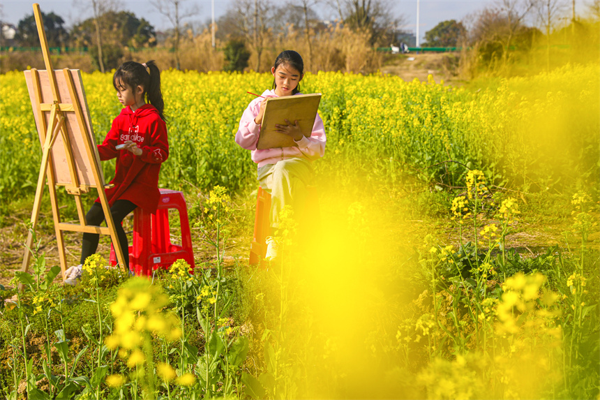 孩子們在油菜花地裡作畫。李煜祖攝