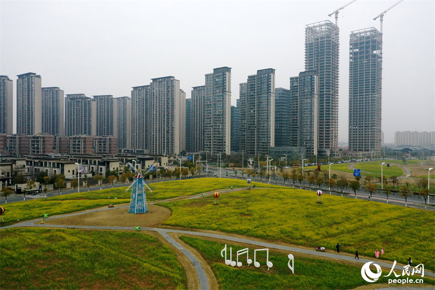 江西南昌馬蘭圩濕地公園內的油菜花綻放，景色怡人。 人民網記者 時雨攝