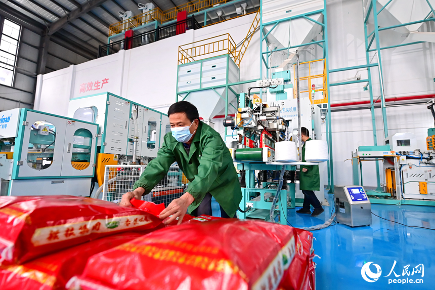 贛州蓉江新區的贛糧集團大米加工車間，工人在智能生產線上加工大米。人民網 朱海鵬攝