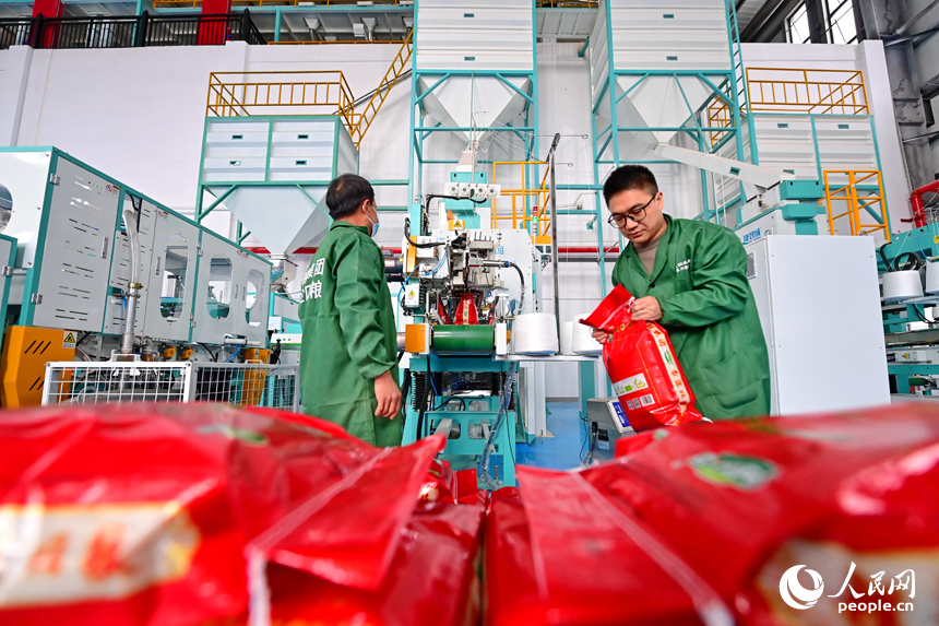 贛州蓉江新區的贛糧集團大米加工車間，工人在智能生產線上加工大米。人民網 朱海鵬攝
