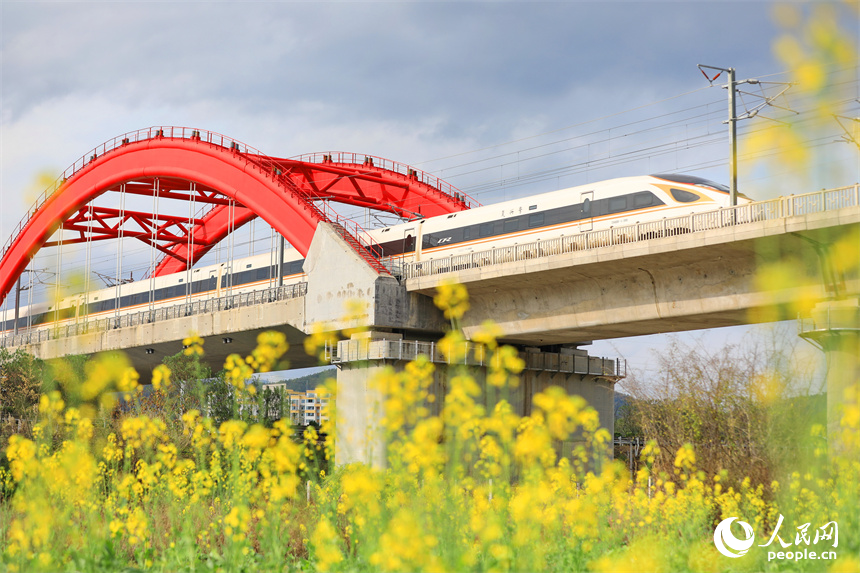 高铁列车从赣州龙南特大桥疾驰而过，沿线油菜花开美如画。人民网 朱海鹏摄