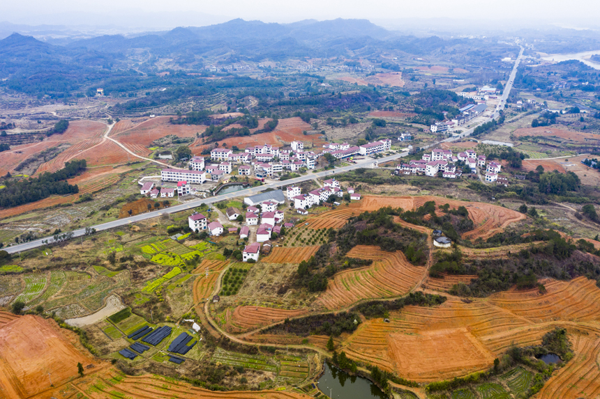 航拍南丰县白舍镇望天村，千亩橘园与道路、民居交相辉映，绘就一幅新时代乡村振兴美丽画卷。谢东摄