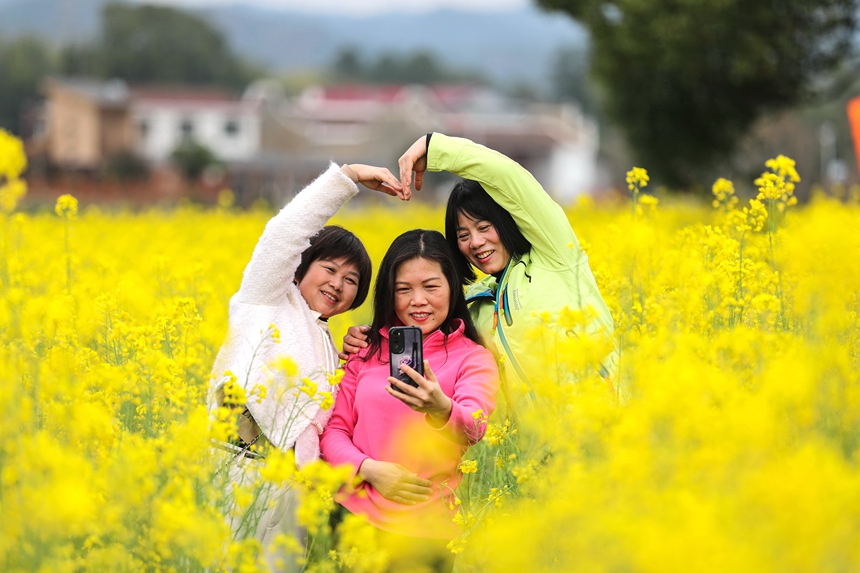 游客正在江西省抚州市广昌县头陂镇龙虎村油菜花田里赏花拍照。曾恒贵摄