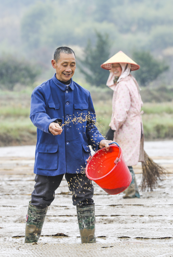 村民在进行水稻育秧作业。谢东摄