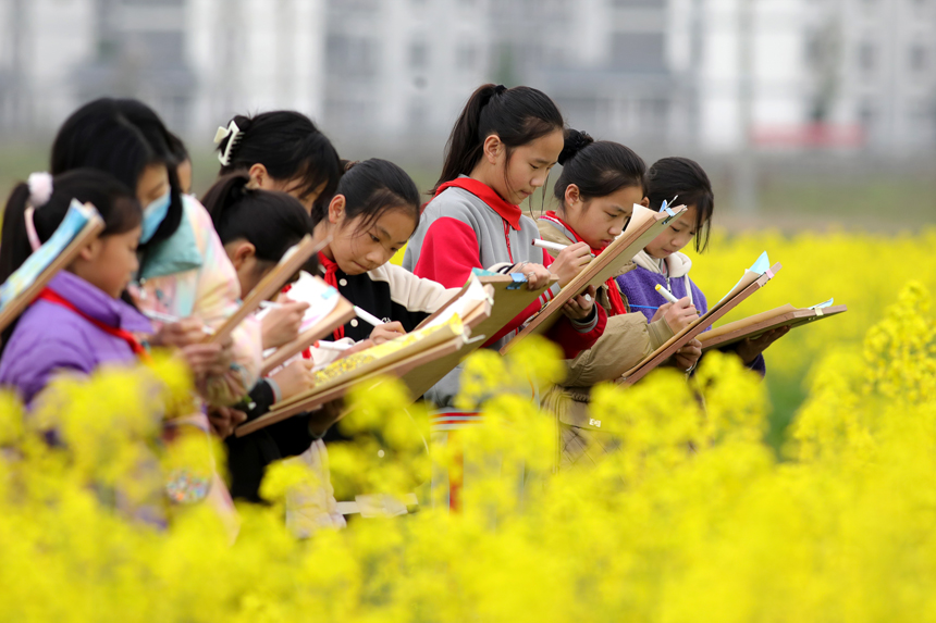 孩子们在校园附近的油菜花海写生，用多彩画笔描绘家乡迷人春光。何贱来摄