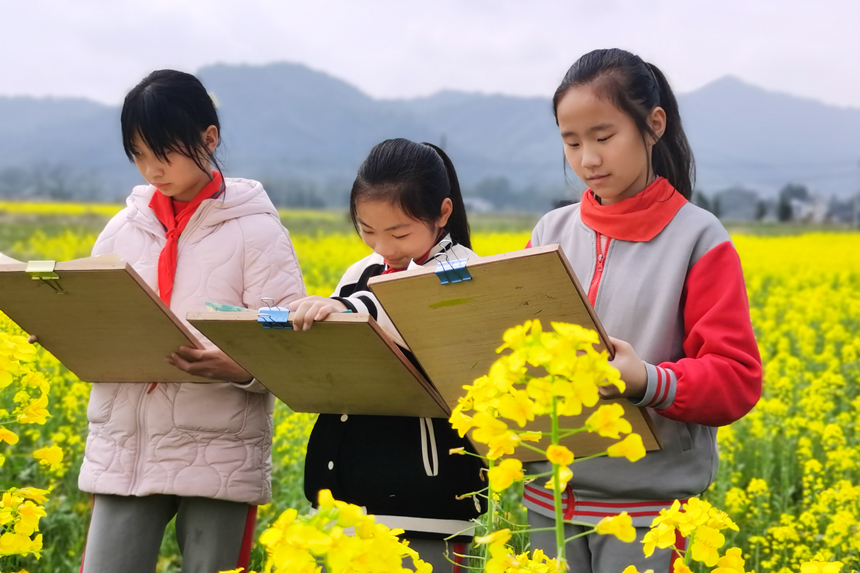 孩子们在校园附近的油菜花海写生，用多彩画笔描绘家乡迷人春光。何贱来摄