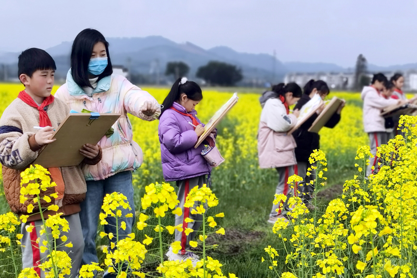 孩子们在校园附近的油菜花海写生，用多彩画笔描绘家乡迷人春光。彭佑兴摄