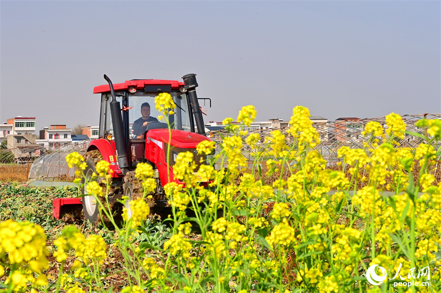 村民驾驶拖拉机忙着耕整农田，为下一步春播春种做足准备。人民网 朱海鹏摄