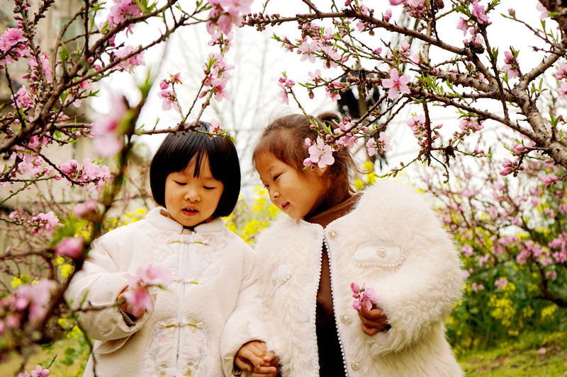 上高縣錦江鎮中心幼兒園的孩子們在觀賞桃花。陳旗海攝