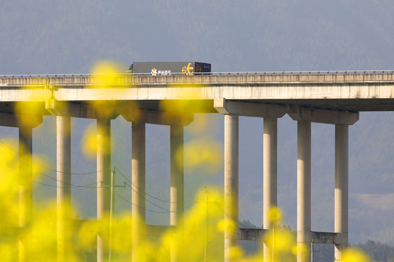 大广高速公路高架桥畔，鲜艳的油菜花迎风摇弋，尽显春意盎然。 何贱来摄
