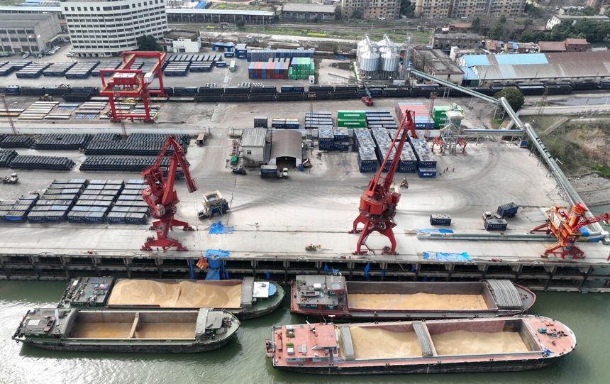 九江港外貿碼頭上，吊機正在將船上的玉米吊裝至集裝箱裡。胡國林攝