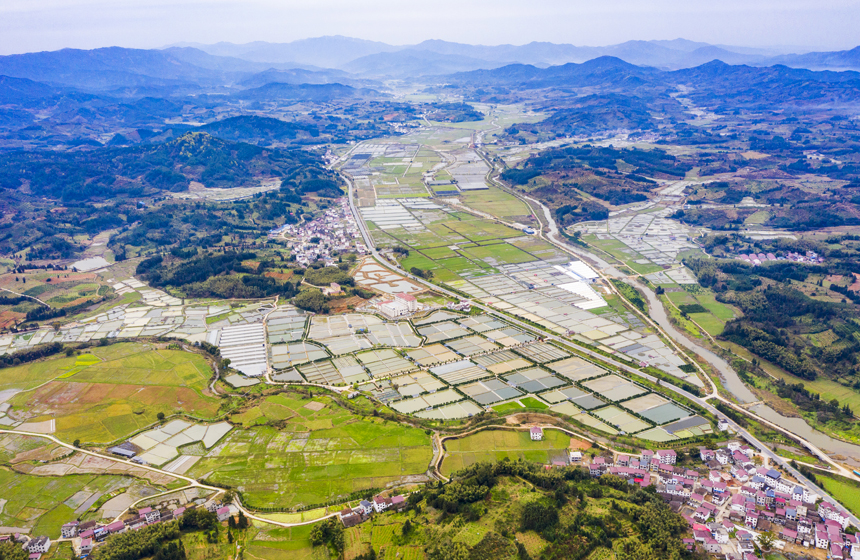 南豐縣太和鎮丹陽村，甲魚塘星羅棋布，猶如大地調色板。謝東攝