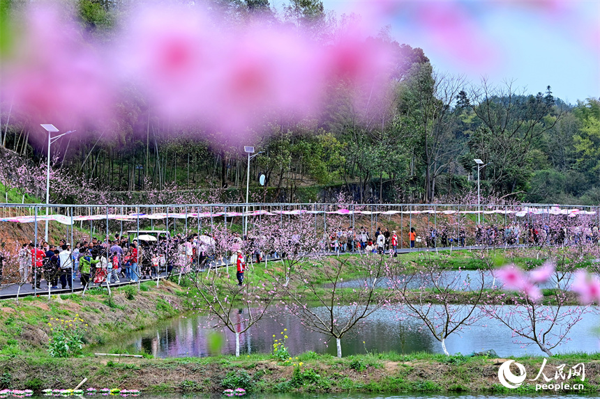 抚州市崇仁县许坊乡许坊村连片桃花盛开，前来赏花“打卡”的游客络绎不绝。人民网 朱海鹏摄