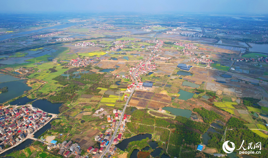 南昌县广丰村，水田、道路与白墙红瓦的村舍交相辉映，勾勒出一幅美丽的春日画卷。人民网记者 毛思远摄