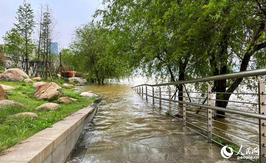 贛江水位持續上漲，部分沿江步道被水淹沒。人民網記者 毛思遠攝
