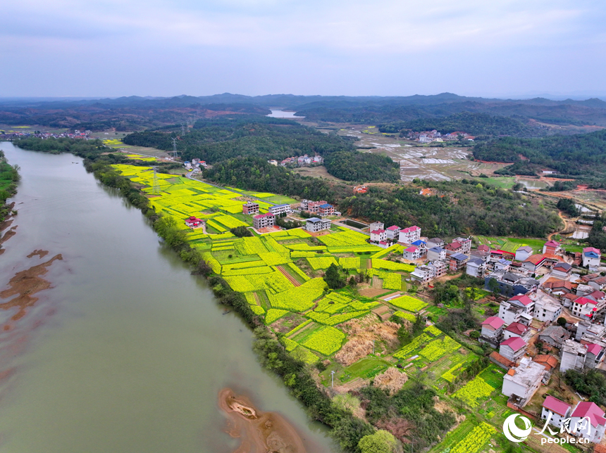 抚州市崇仁县航埠镇下章村房屋错落有致，河流蜿蜒，景色怡人。人民网 朱海鹏摄