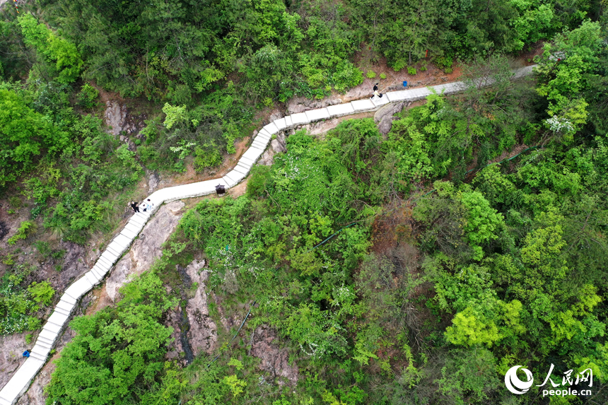 游客们正在山中道路爬山，享受青山绿水带来的惬意。 人民网记者 时雨摄