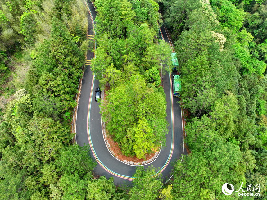 赣州市安远县三百山镇，观光大巴车行驶在旅游公路上，公路沿线绿色生态风光怡人。人民网 朱海鹏摄