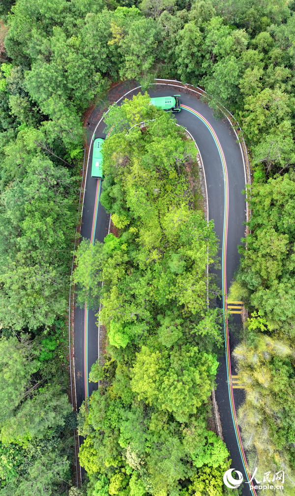 赣州市安远县三百山镇，观光大巴车行驶在旅游公路上，公路沿线绿色生态风光怡人。人民网 朱海鹏摄