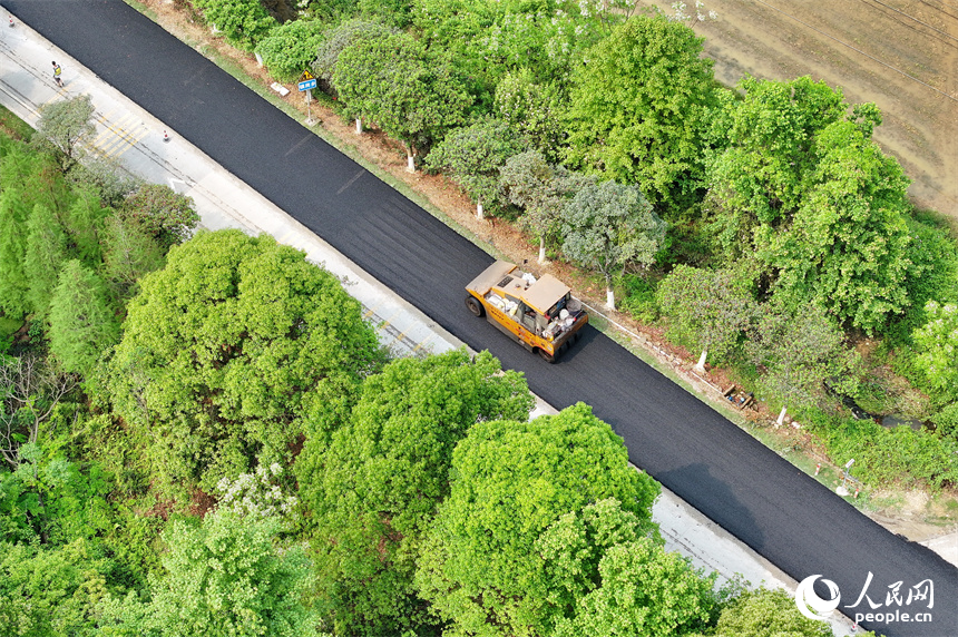 贛州市安遠縣鎮崗鄉公路“白改黑”施工現場，多台大型攤鋪機、壓路機、運輸車輛來回穿梭在進行瀝青攤鋪、壓實作業。人民網 朱海鵬攝