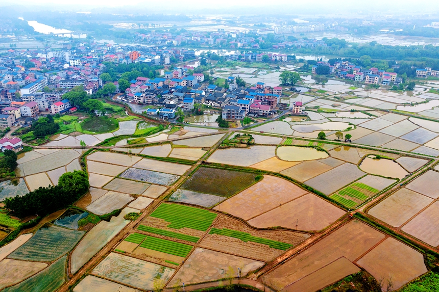 航拍鏡頭下的江西省吉安市吉水縣水南鎮春耕圖景。廖敏攝