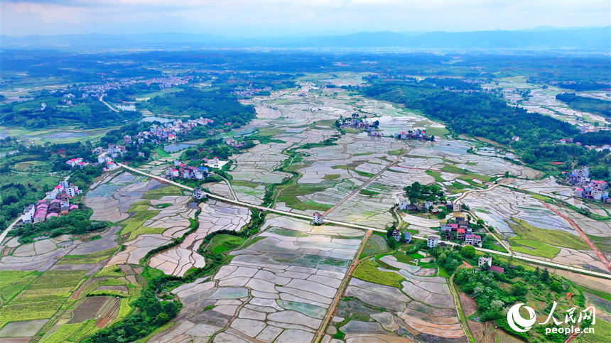 吉安市永新县台岭乡布淌村，耕作灌溉后的稻田水满泥润，绵亘蜿蜒，如同大地的调色盘。人民网 朱海鹏摄